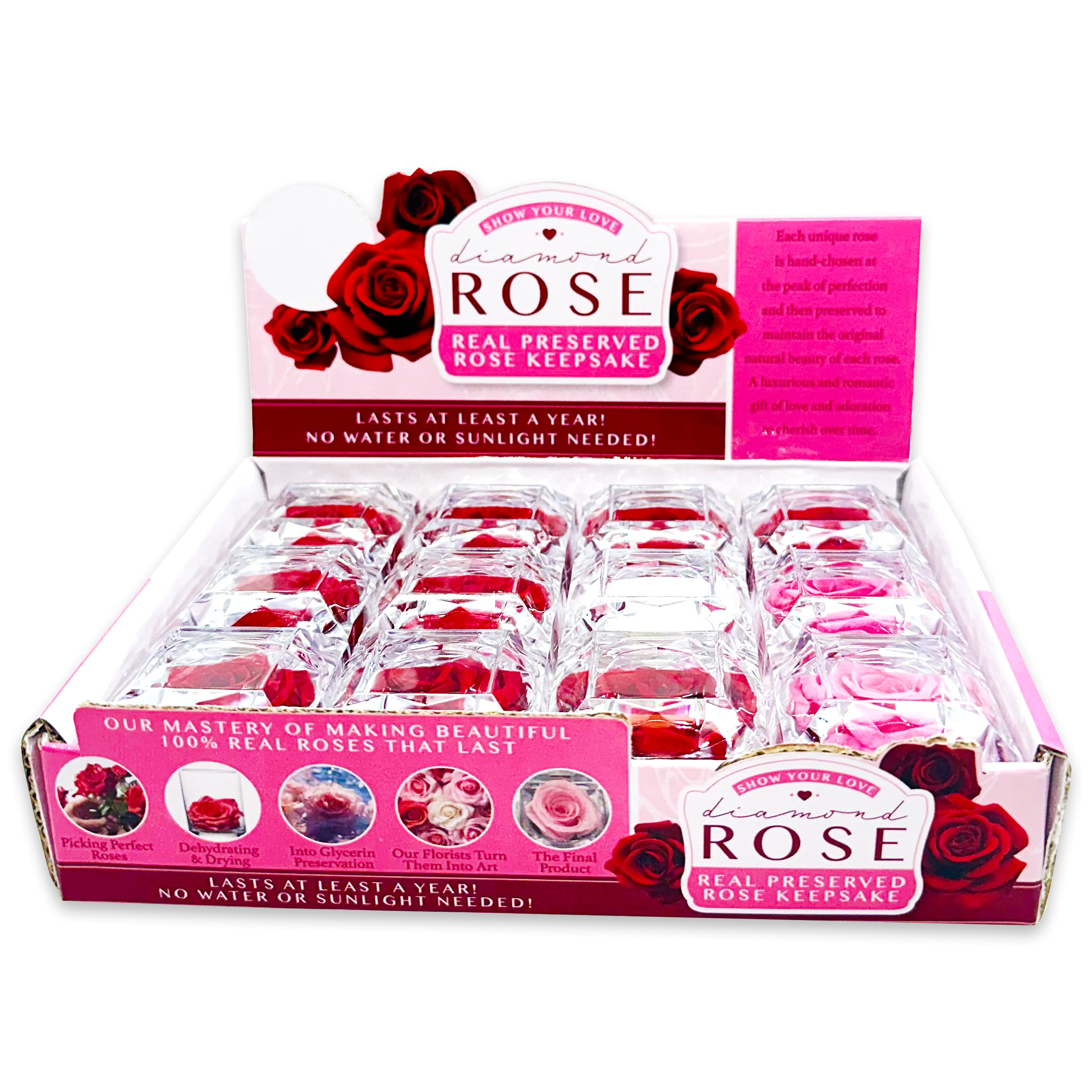 Diamond Real Preserved Rose Keepsake - 12 Pieces Per Retail Ready Display 24712