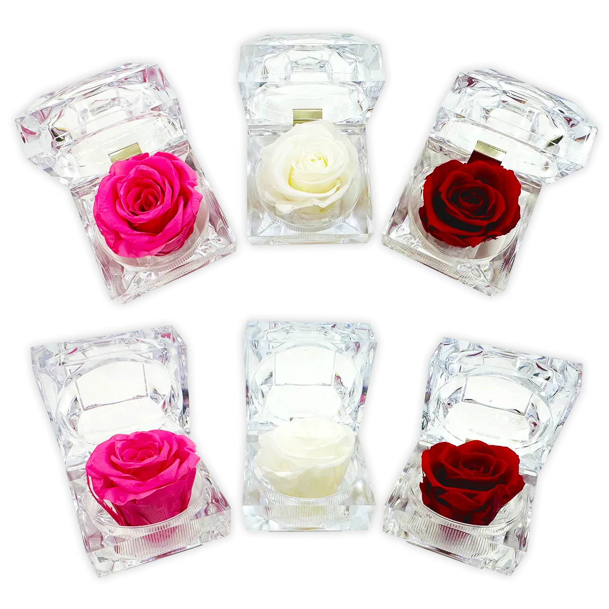 Diamond Real Preserved Rose Keepsake - 12 Pieces Per Retail Ready Display 24712