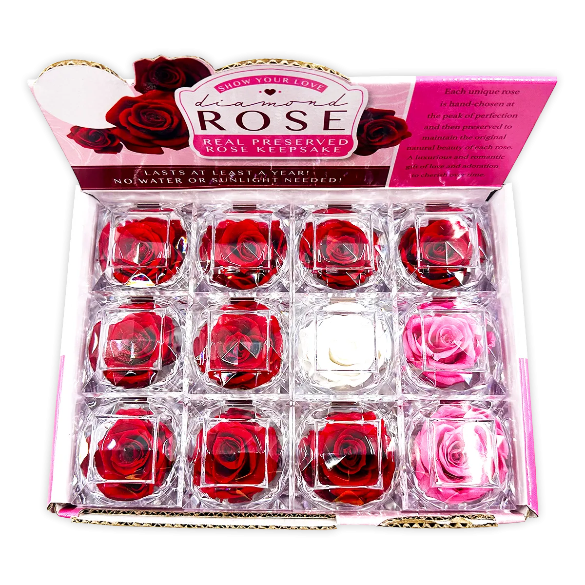 Diamond Real Preserved Rose Keepsake - 12 Pieces Per Retail Ready Display 24712