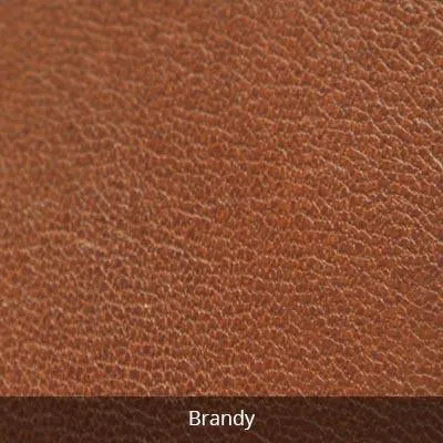 Osgoode Marley Robin Zip Top Convertible Leather Purse 7077