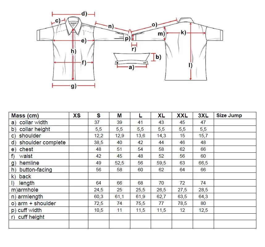 Ruth Ladies Western Blouse